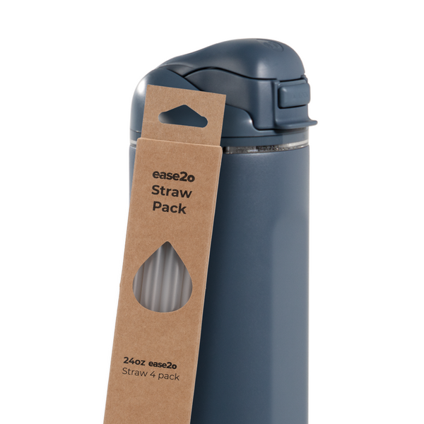 Ease2o Straws 4 Pack 24oz W8